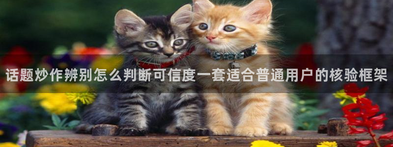 91吃瓜资讯网