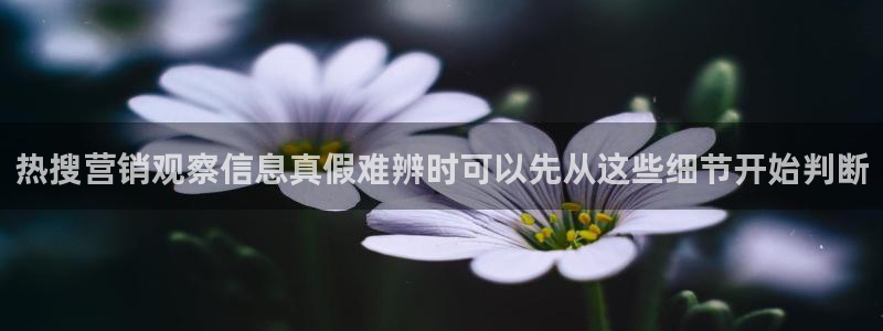 91吃瓜网站入口