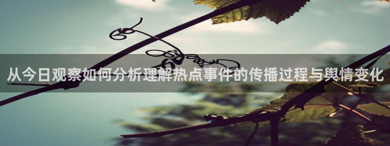 91吃瓜入口大全