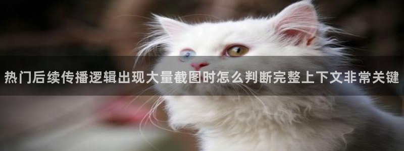 吃瓜网站入口
