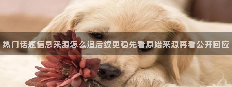 91吃瓜最新入口