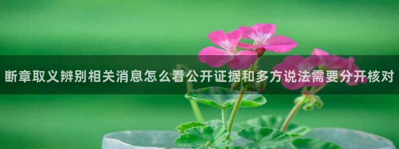 吃瓜网络资讯