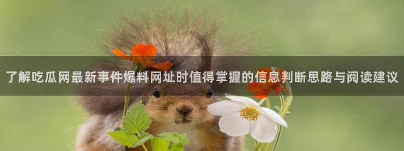 吃瓜今日资讯