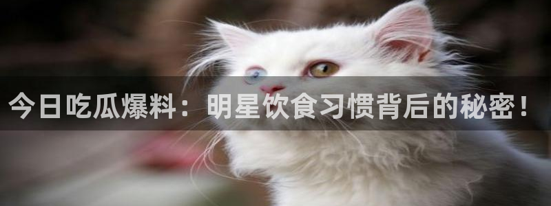 91吃瓜热门热搜